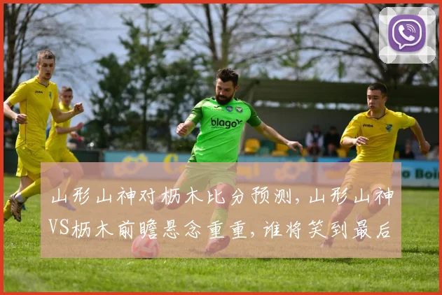 山形山神对枥木比分预测,山形山神VS枥木前瞻悬念重重,谁将笑到最后