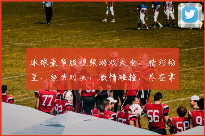 冰球豪华版视频游戏大全，精彩纷呈，经典对决，激情碰撞，尽在掌握，体验非凡