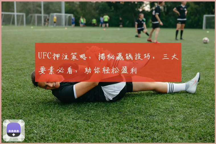 UFC押注策略，揭秘赢钱技巧，三大要素必看，助你轻松盈利