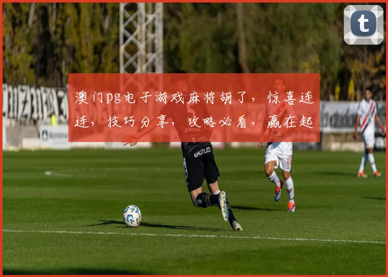澳门pg电子游戏麻将胡了，惊喜连连，技巧分享，攻略必看，赢在起点，三赢之道