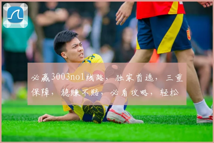 必赢3003no1线路，独家首选，三重保障，稳赚不赔，必看攻略，轻松获利