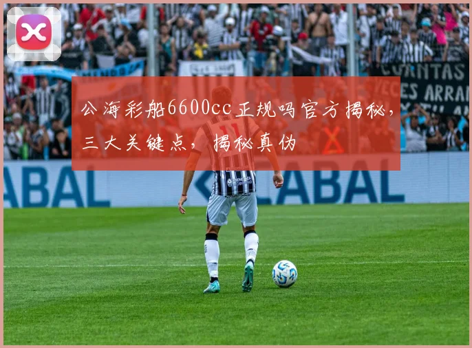 公海彩船6600cc正规吗官方揭秘，三大关键点，揭秘真伪