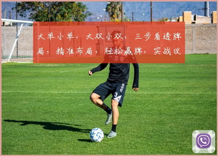 大单小单，大双小双，三步看透牌局，精准布局，轻松赢牌，实战攻略，一网打尽